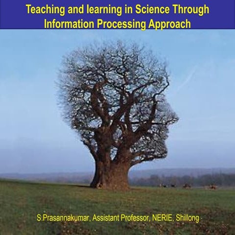 Information Processing Approach in learning