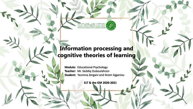 Information Processing and Cognitive Theories of Learning