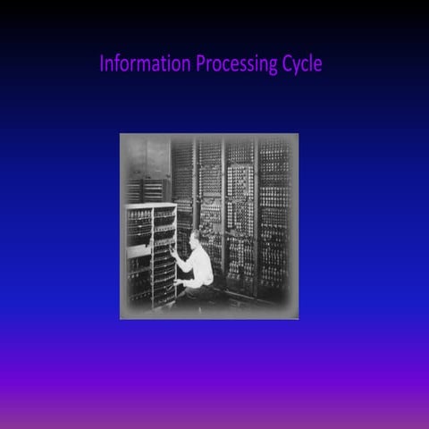 Information processing cycle