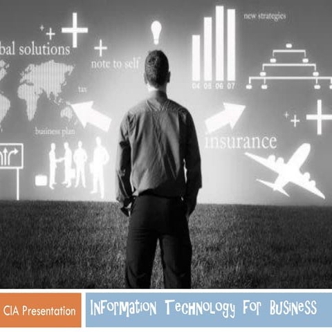 Information technology for business