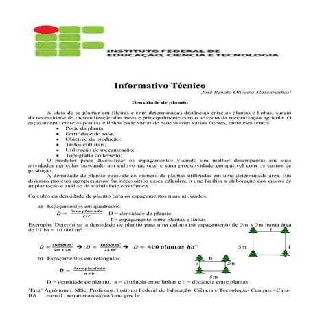 Informativo técnico