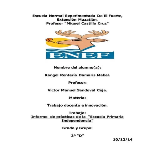 Informe de mis prácticas 