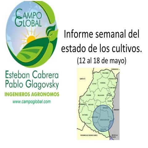 Informe cultivos  12 al 18  mayo