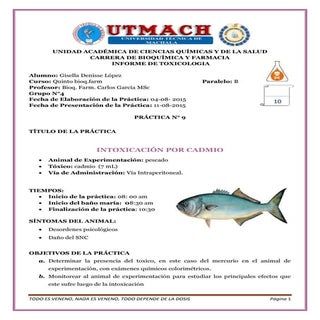 Informe 9-intoxicacion-por-cadmio