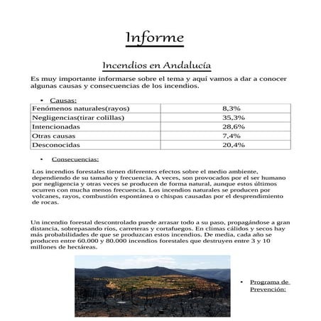Informe 1 (1)