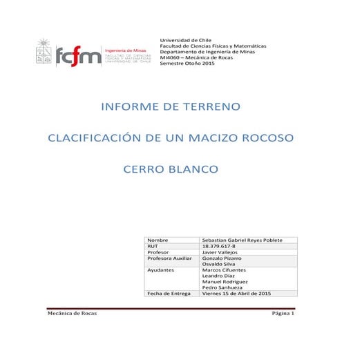 Informe mecanica de rocas terreno 2015