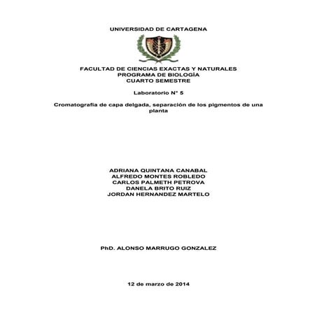 Cromatografía de capa delgada, separación de los pigmentos de una planta