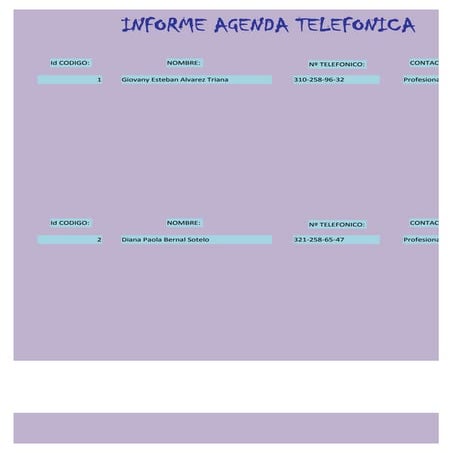 Informe agenda telefonica