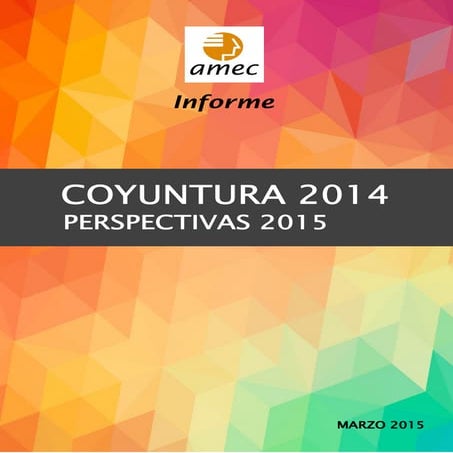 Informe amec de coyuntura 2014 y perspectivas 2015