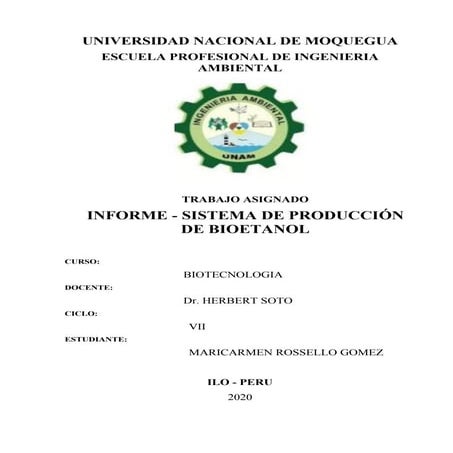 Informe bioetanol | PDF