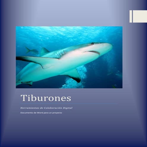 Tiburones