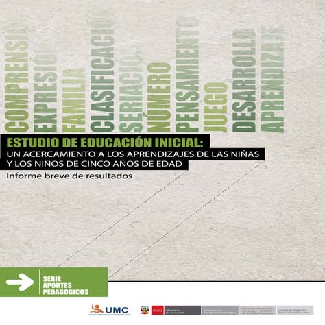 Informe del nivel inicial en el Peru | PDF