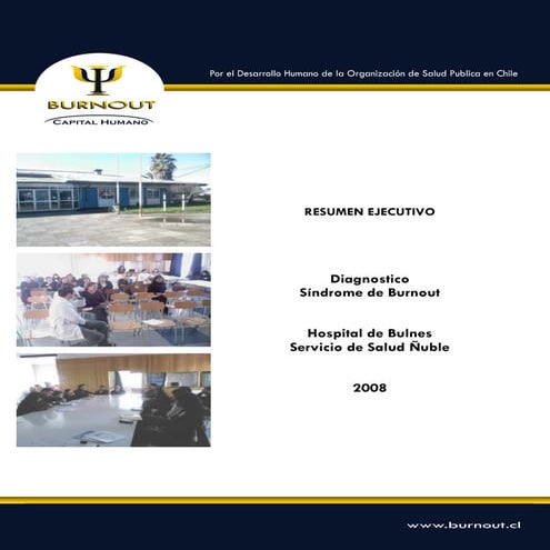 Informe Sindrome de Burnout hospital de Bulnes
