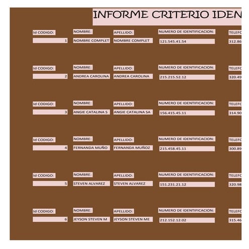 Informe criterio identificacion cliente