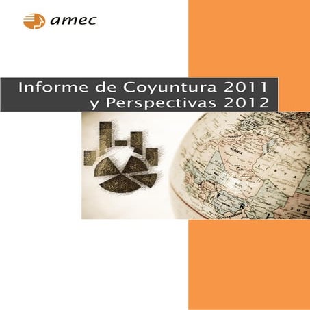 Informe de amec, coyuntura 2011 y perspectivas 2012