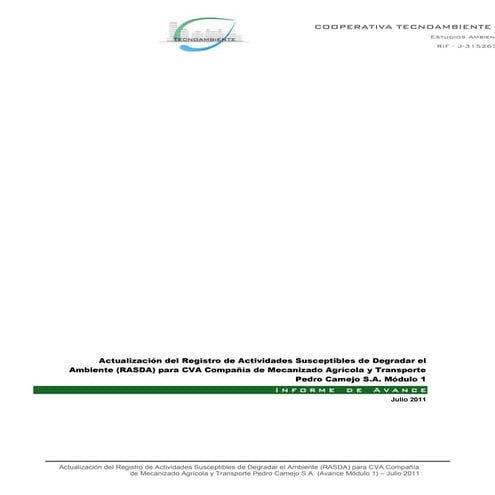 Informe de auditoria rasda | PDF