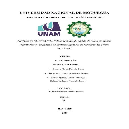 "Observaciones de nódulo de raíces de plantas leguminosas y verificación de bacterias fijadoras de nitrógeno del género Rhizobium"