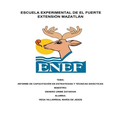 Informe de capacitación en estragias y técnicas didácticas
