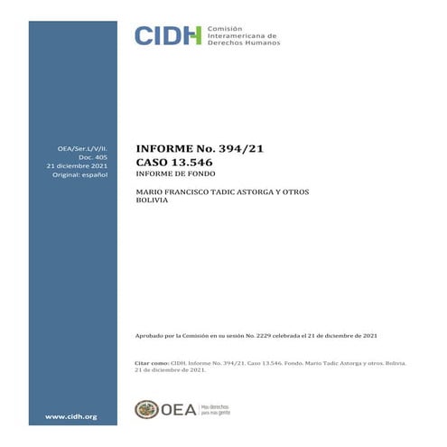 Informe de Fondo Tadic y otros C Bolivia.pdf