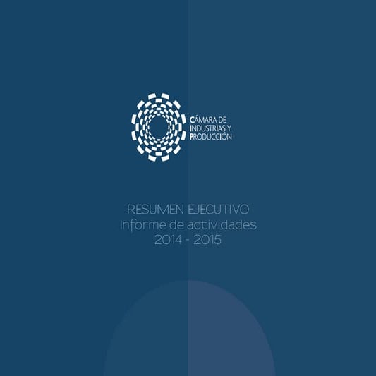 Informe de gestión CIP 2014 - 2015