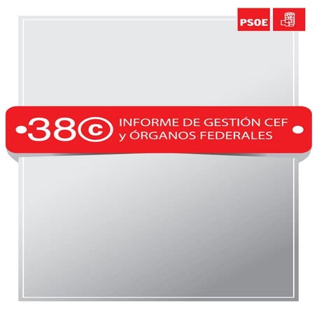 Informe de gestion cef psoe 38