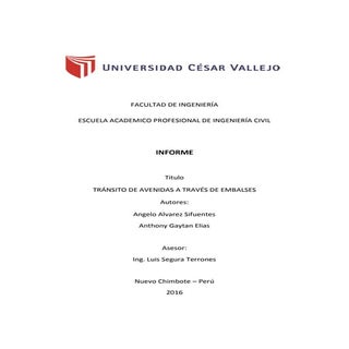 INFORME DE TRÁNSITO DE AVENIDAS A T...