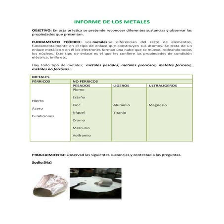 Informe de los metales por beatriz afán de rivera