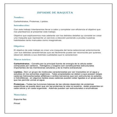 Informe de maqueta 