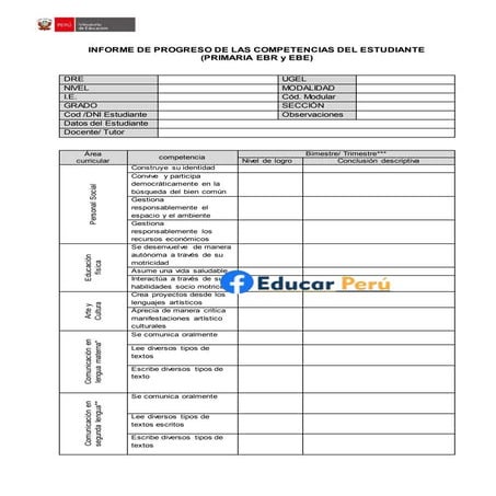 Informe de progreso de las competencias del estudiante   primaria