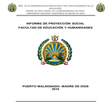 Informe de proyeccion social