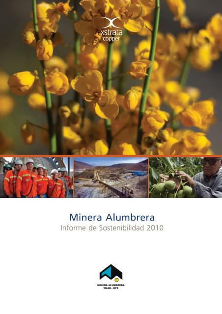 Informe de sostenibilidad 2010