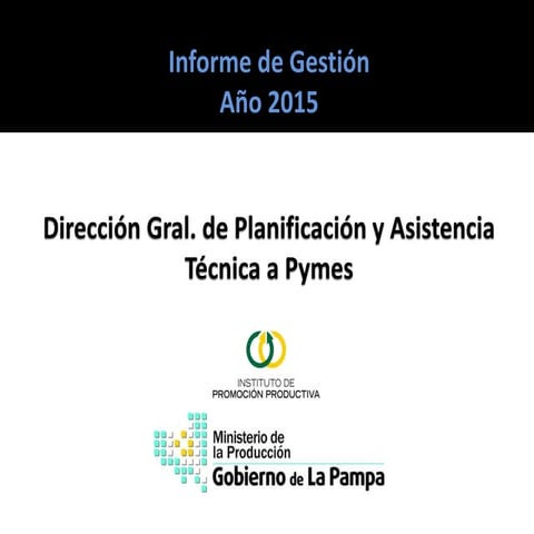 Informe ejecución 2015   