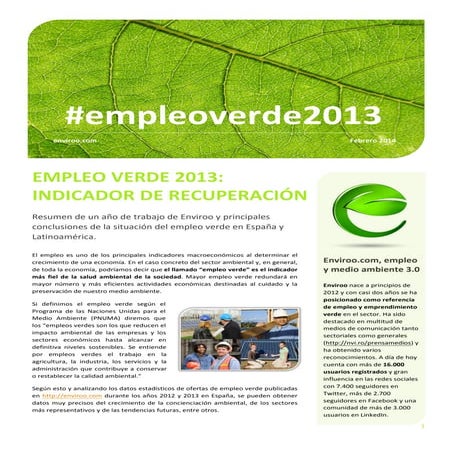 Informe empleo2013 enviroo