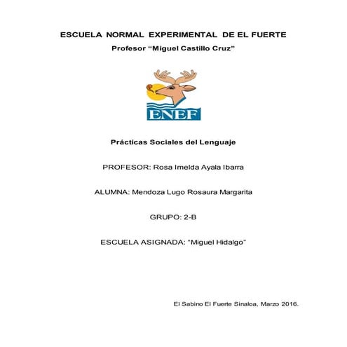 Informe escuela primaria