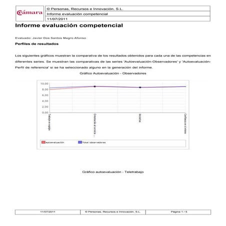 Informe evaluacion competencial-teletrabajo