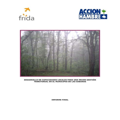 Informe Final Desarrollo de capacidades locales
