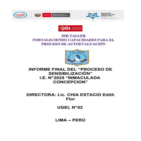 Informe final ipeba-ugel 02 | PDF