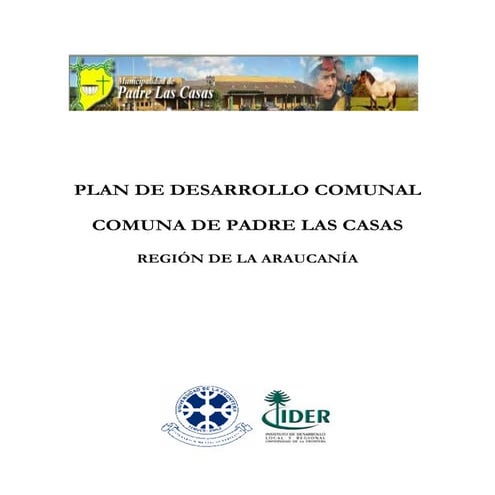 Informe final pladeco plc