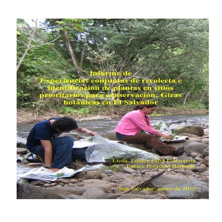 Informe girasbotánicas