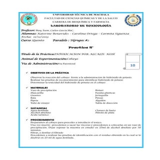 Informe hidroxido de potasio