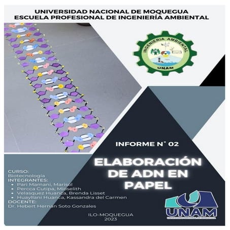 INFORME SOBRE EL DESARROLLO DE UNA MAQUETA DE ADN | DOCX