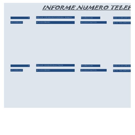 Informe numero telefonico