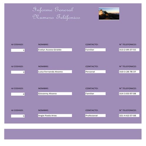 Informe numero teléfonico