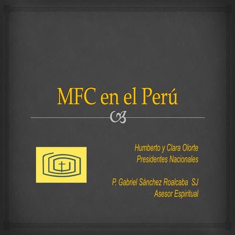 Informe paises XXV AGLA PERU