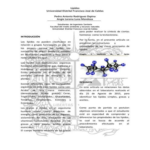 Informe practica #2 (lipidos)