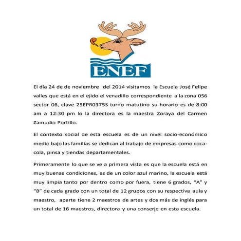 Informe primaria felipe valles