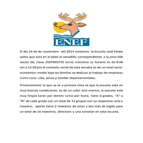 Informe primaria felipe valles