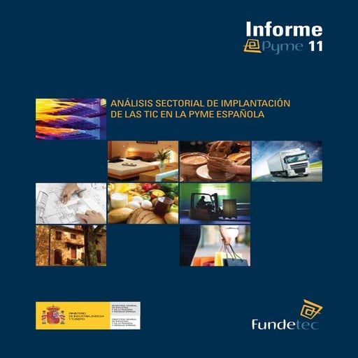 Informe pyme implantacion tic españa 2011