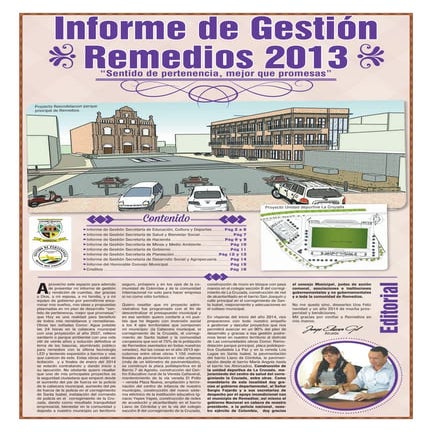 Informe remedios 2013