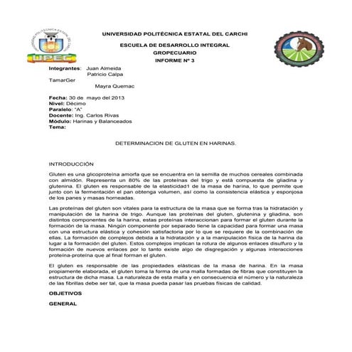 Informes de granulometría y gluten